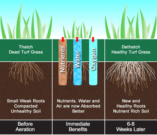 Glenville Core Aeration Illustration