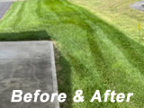 Lawn Care Treatment